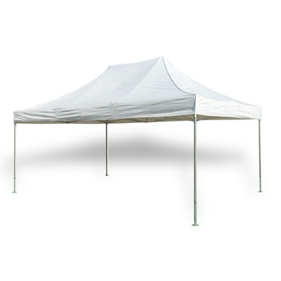 MASTERTENT_4b61c0dcbdd57.jpg